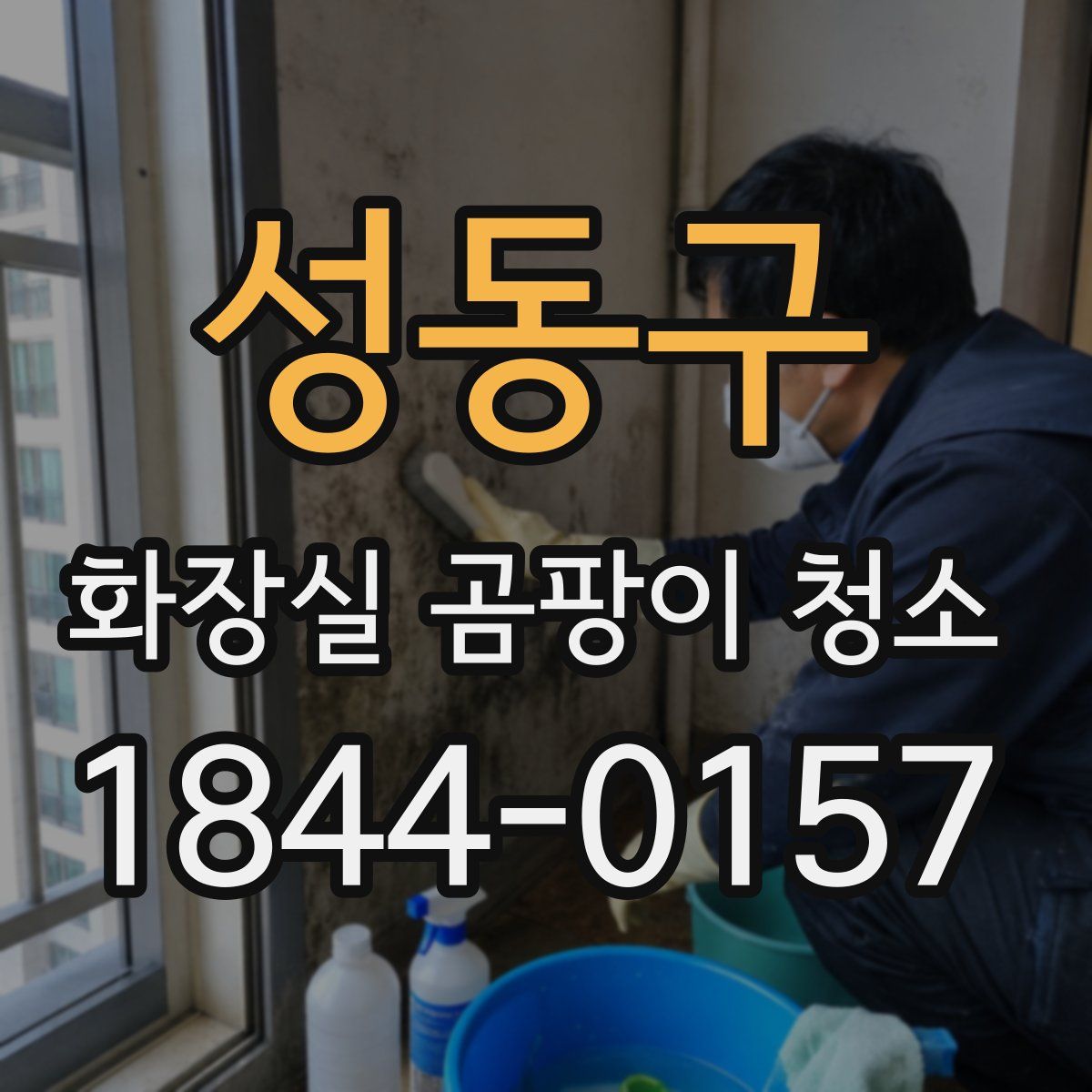 성동구 화장실 곰팡이 청소