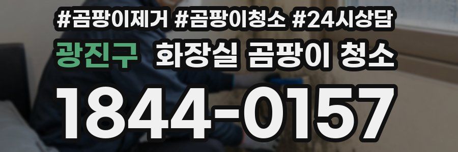 광진구 화장실 곰팡이 청소