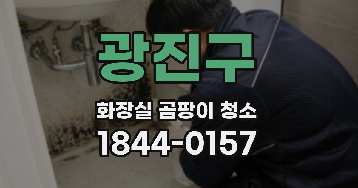 광진구 화장실 곰팡이 청소