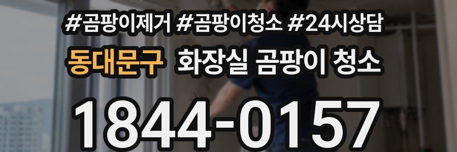 동대문구 화장실 곰팡이 청소