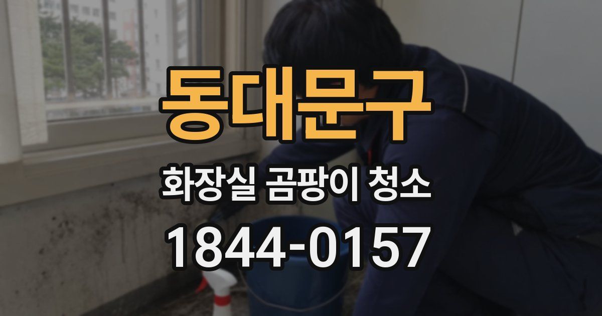 동대문구 화장실 곰팡이 청소