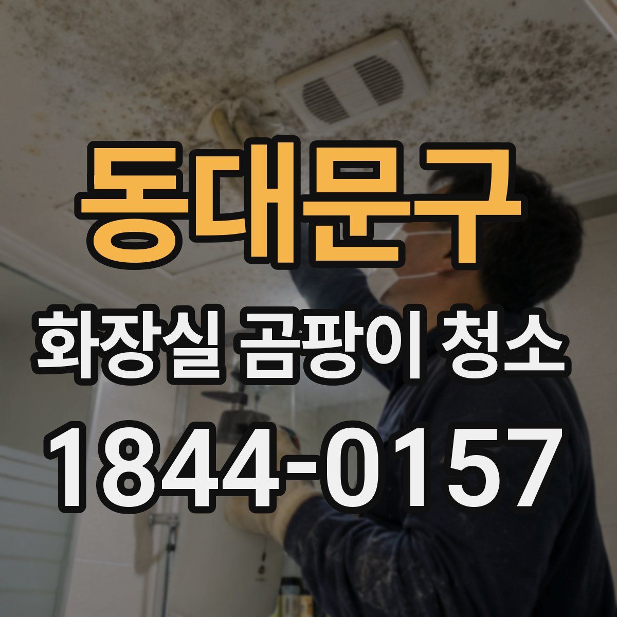 동대문구 화장실 곰팡이 청소