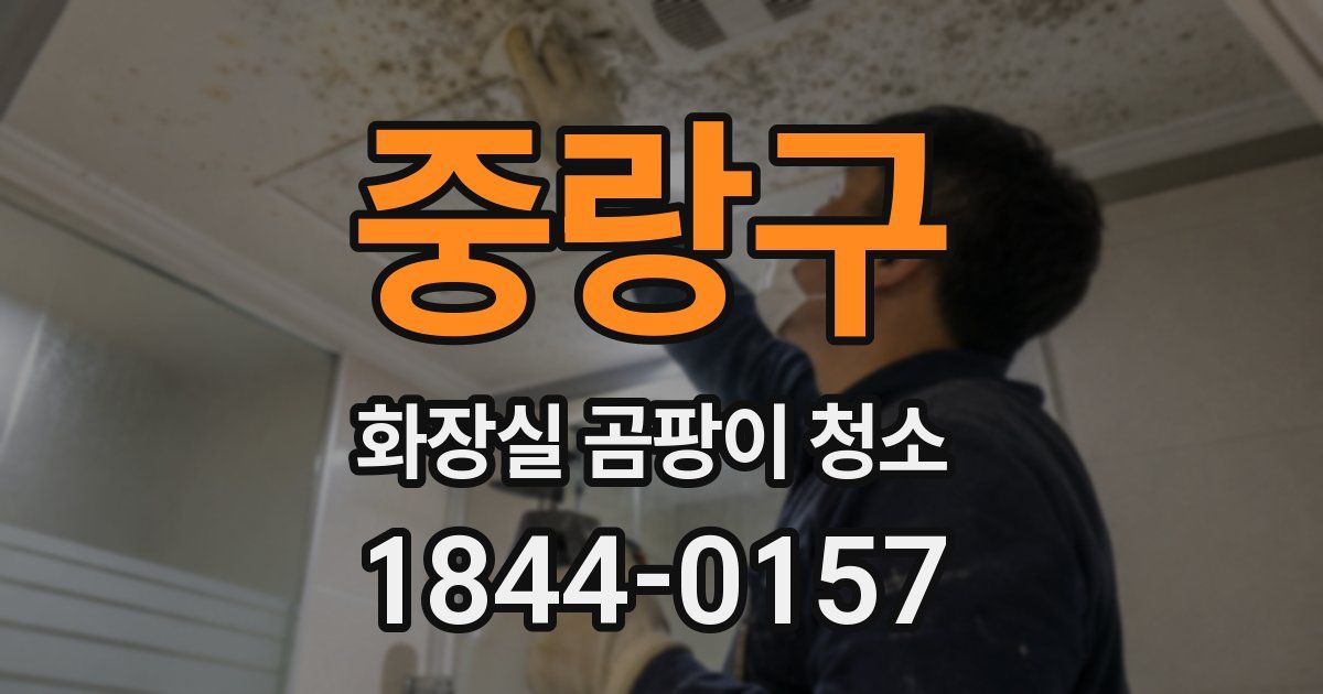 중랑구 화장실 곰팡이 청소