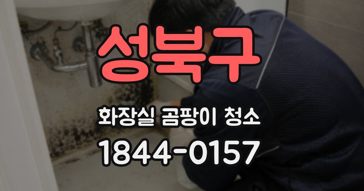 성북구 화장실 곰팡이 청소