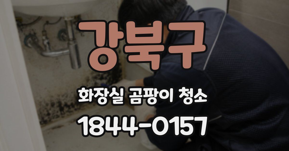 강북구 화장실 곰팡이 청소