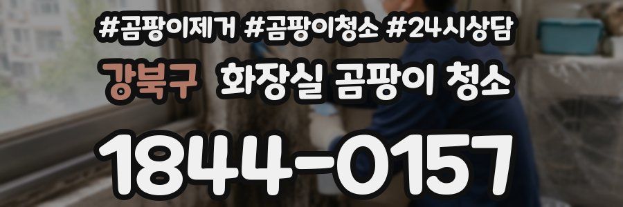 강북구 화장실 곰팡이 청소