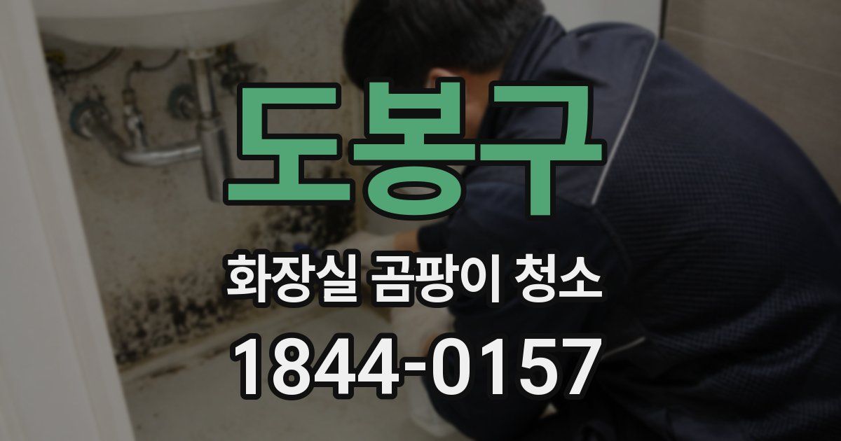 도봉구 화장실 곰팡이 청소