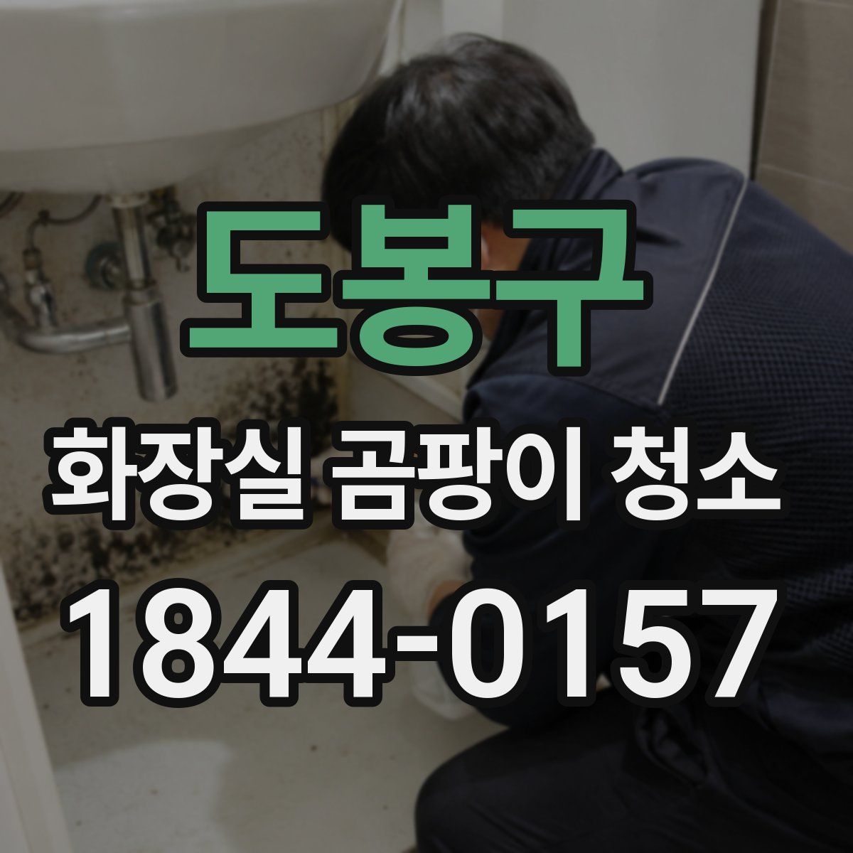 도봉구 화장실 곰팡이 청소