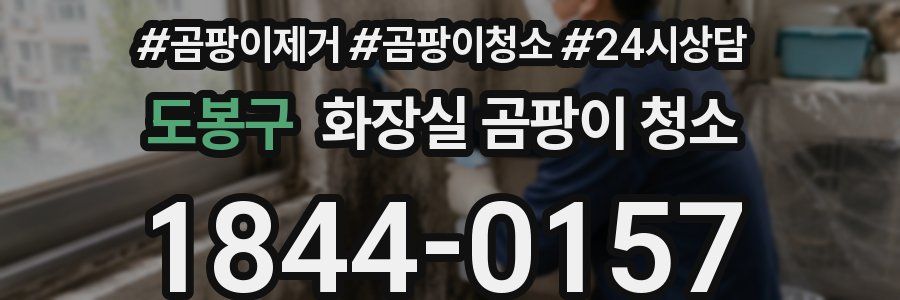 도봉구 화장실 곰팡이 청소
