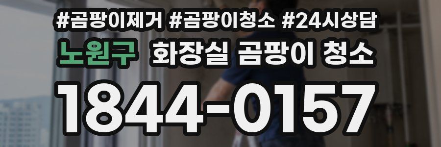 노원구 화장실 곰팡이 청소
