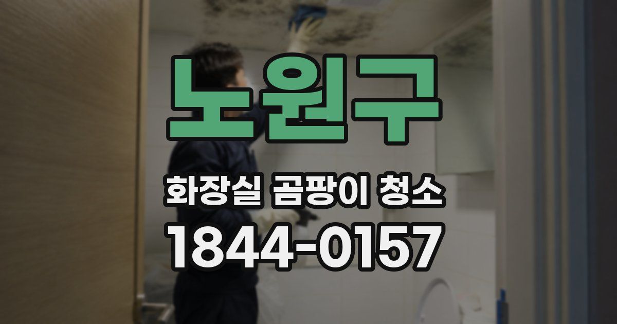 노원구 화장실 곰팡이 청소