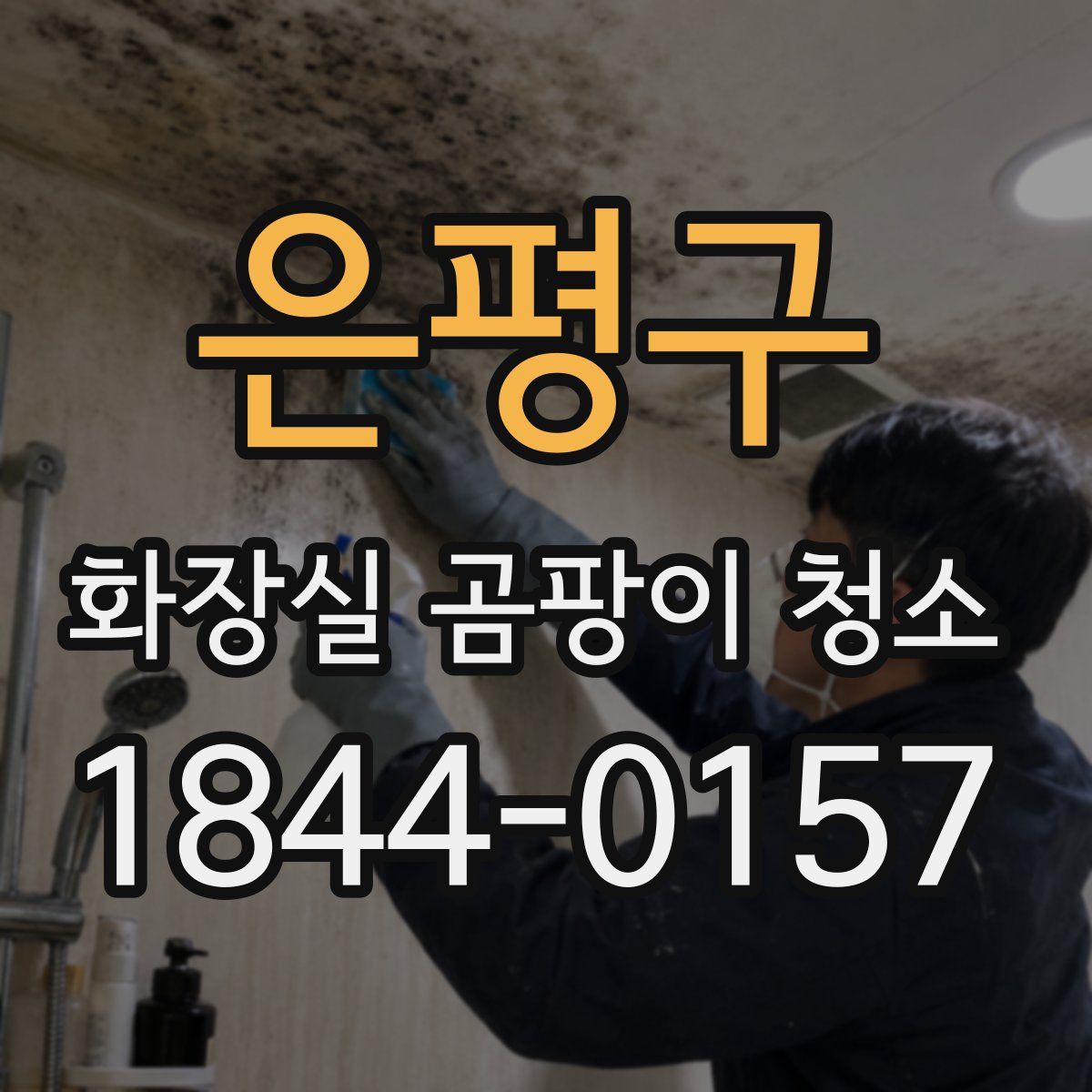 은평구 화장실 곰팡이 청소