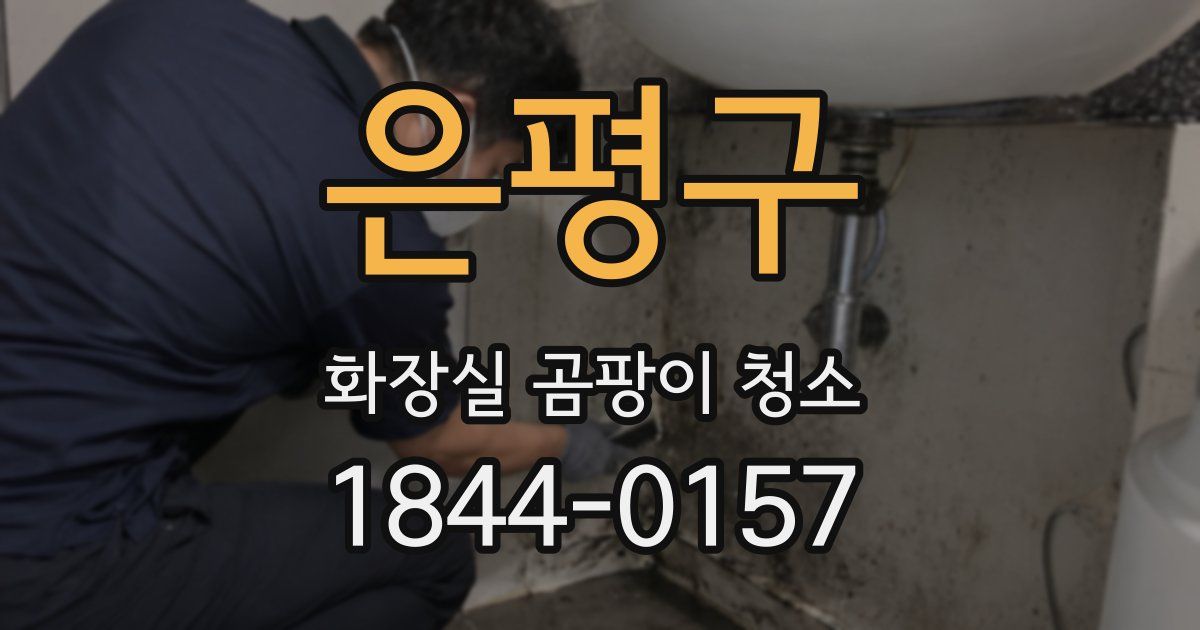 은평구 화장실 곰팡이 청소