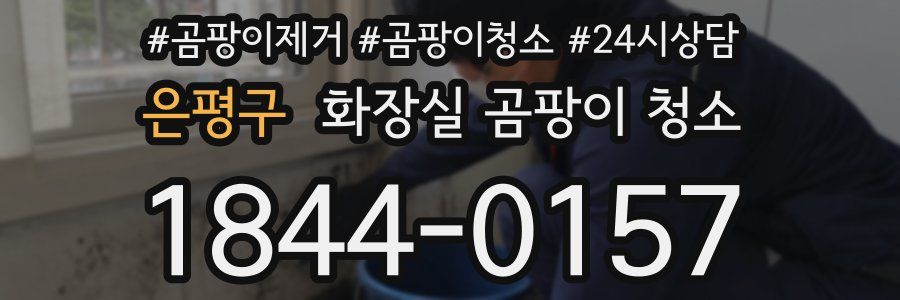 은평구 화장실 곰팡이 청소
