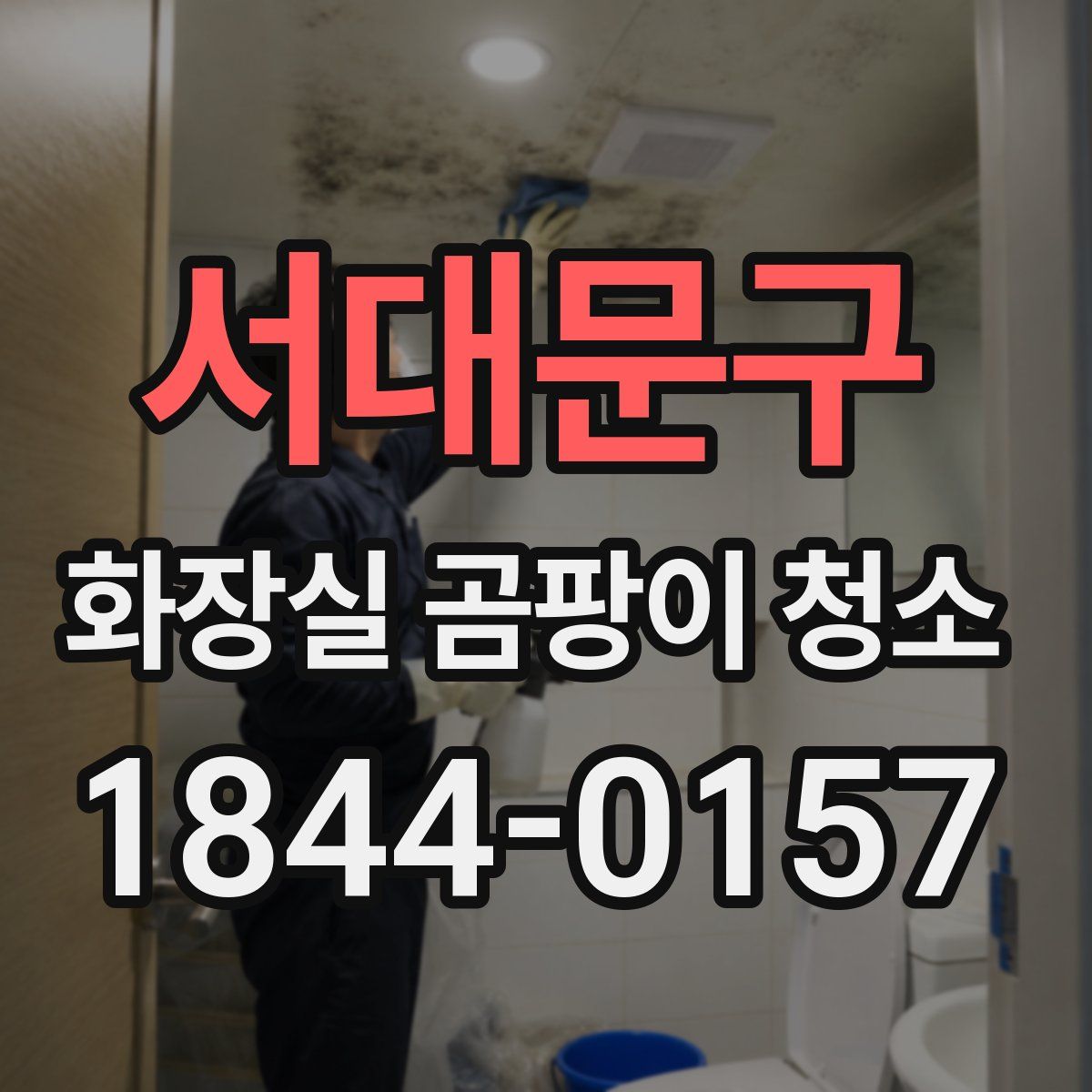 서대문구 화장실 곰팡이 청소