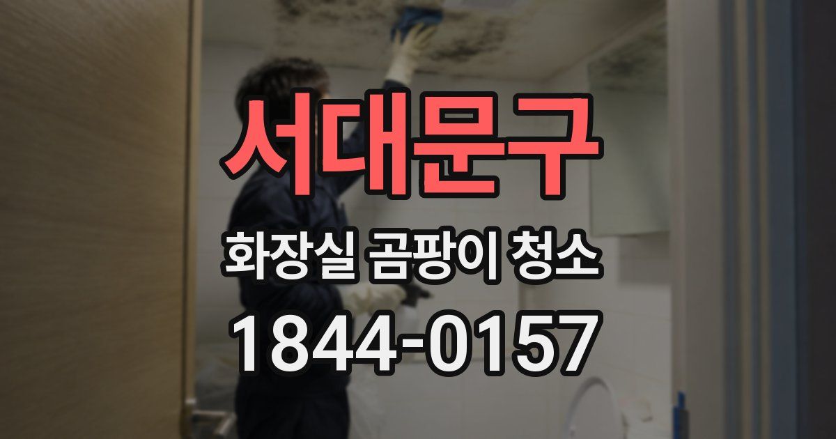 서대문구 화장실 곰팡이 청소