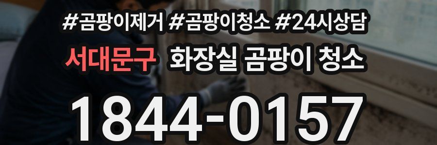 서대문구 화장실 곰팡이 청소