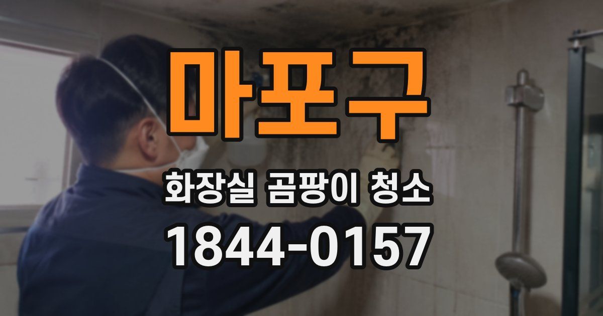 마포구 화장실 곰팡이 청소