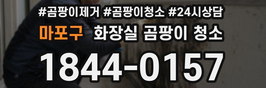 마포구 화장실 곰팡이 청소