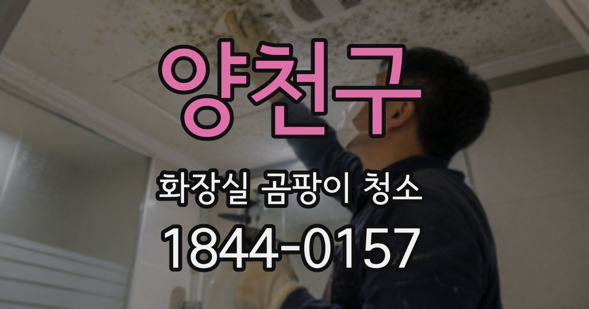 양천구 화장실 곰팡이 청소
