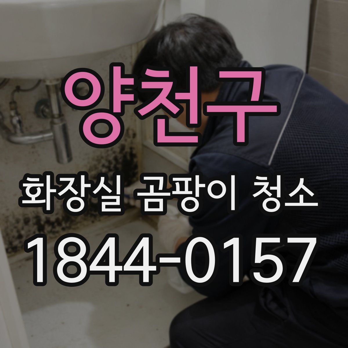 양천구 화장실 곰팡이 청소