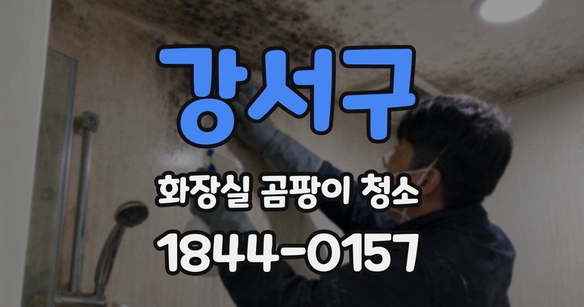 강서구 화장실 곰팡이 청소