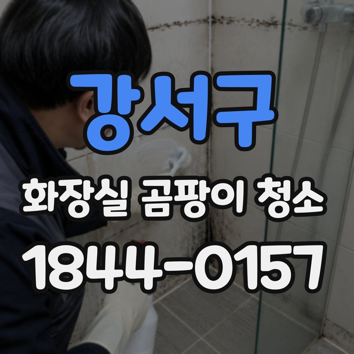 강서구 화장실 곰팡이 청소