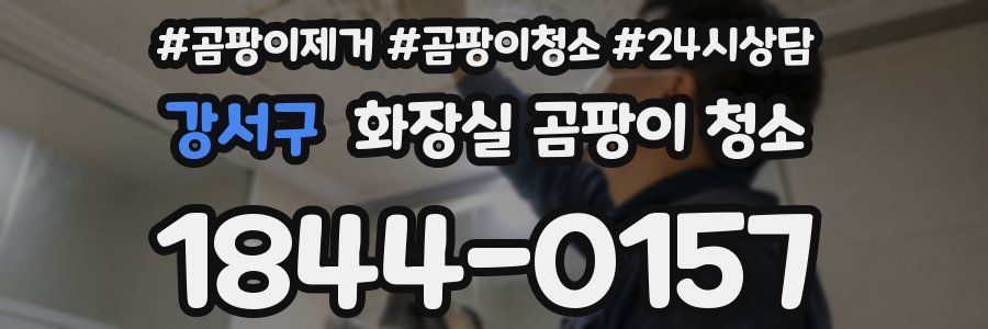 강서구 화장실 곰팡이 청소