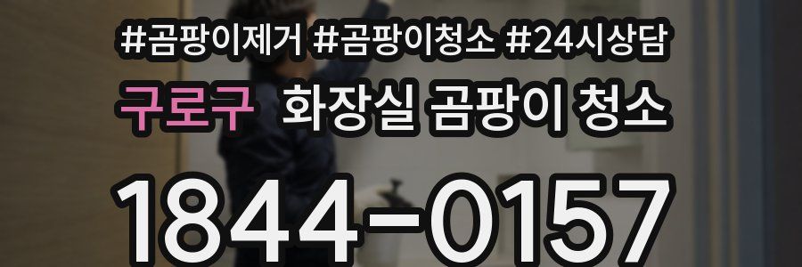 구로구 화장실 곰팡이 청소
