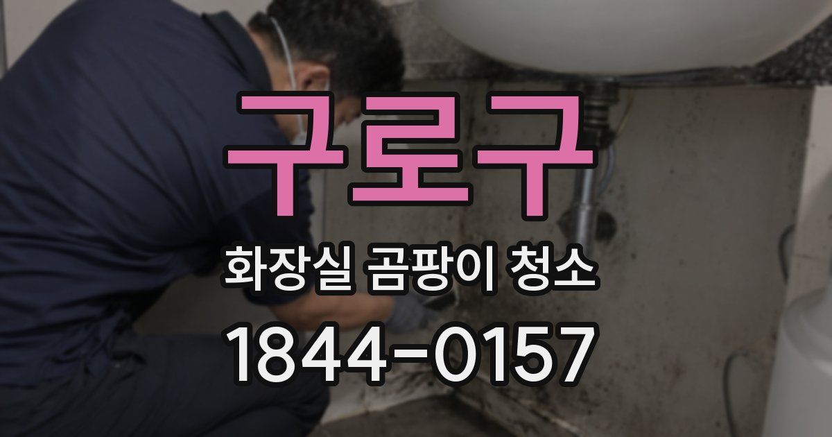 구로구 화장실 곰팡이 청소