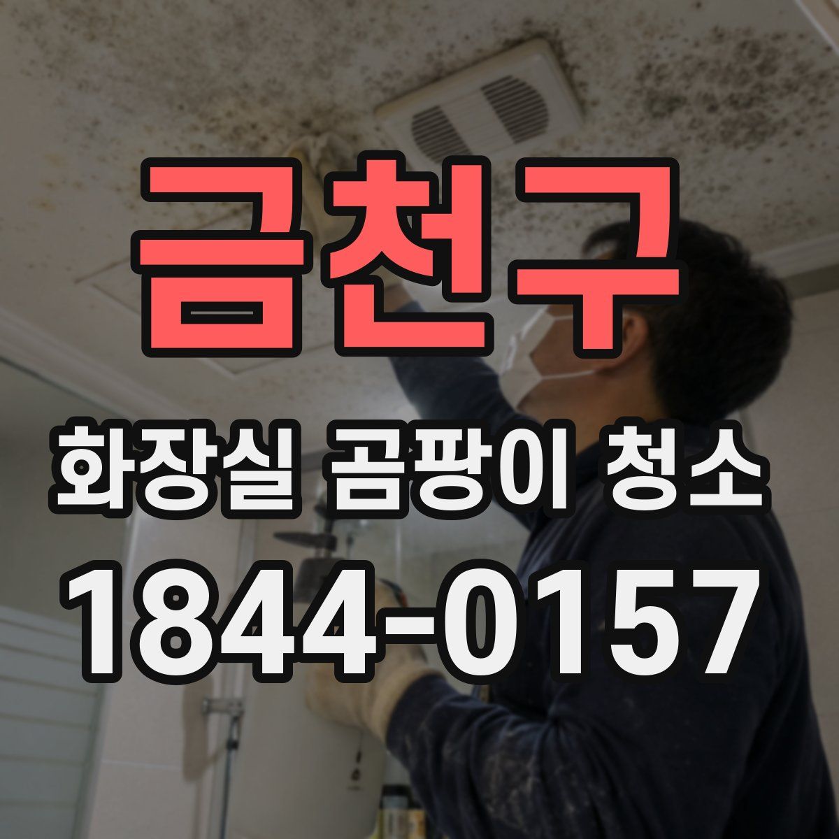 금천구 화장실 곰팡이 청소