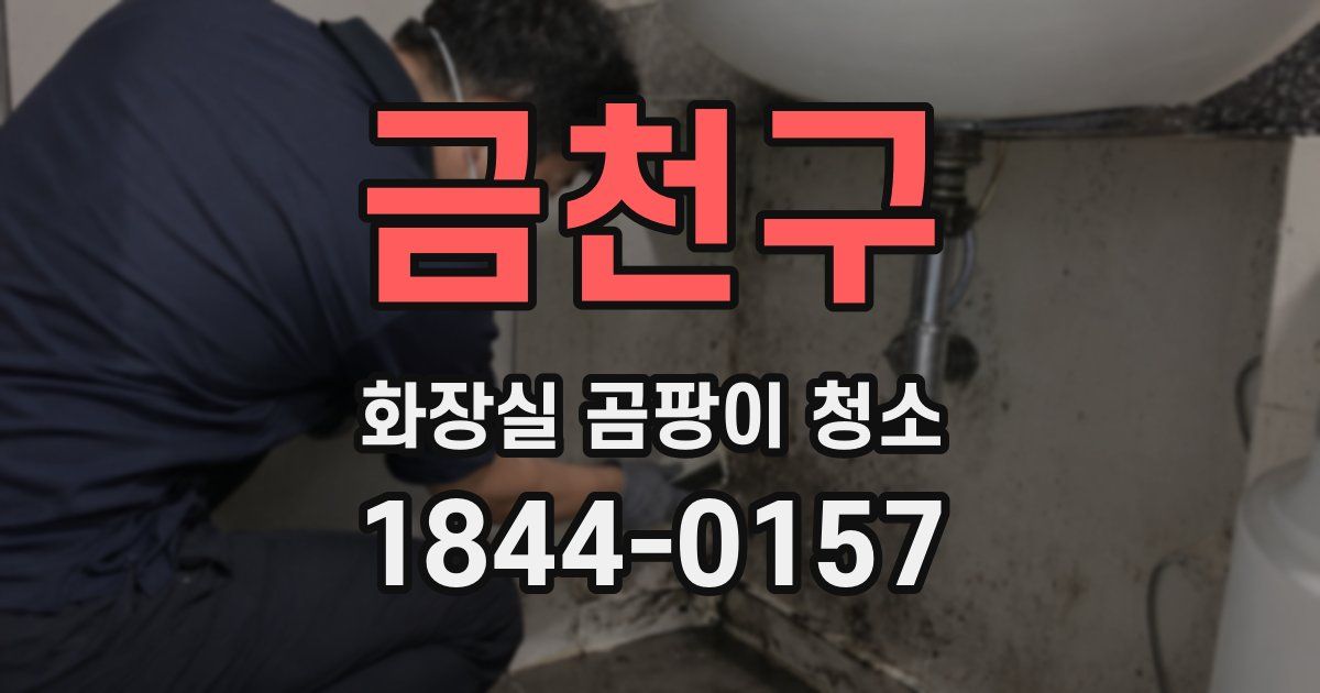 금천구 화장실 곰팡이 청소