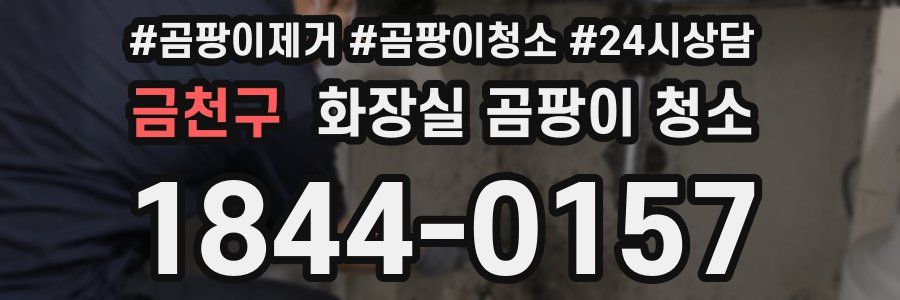 금천구 화장실 곰팡이 청소