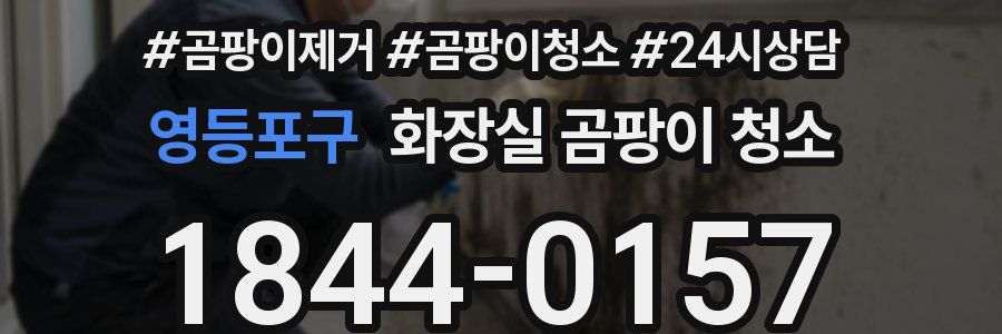 영등포구 화장실 곰팡이 청소