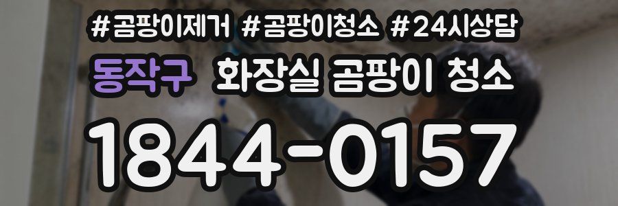 동작구 화장실 곰팡이 청소
