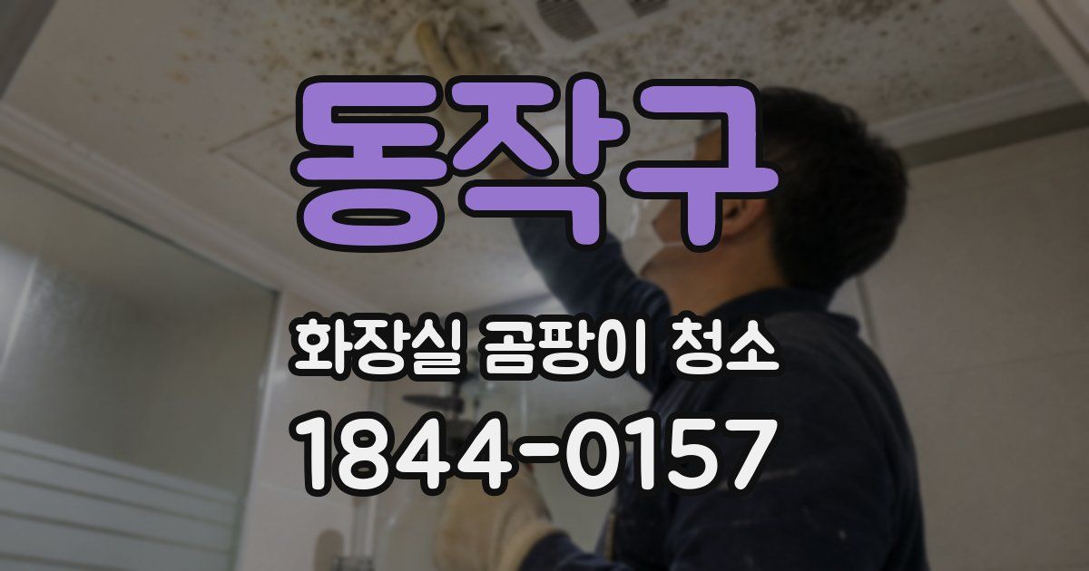 동작구 화장실 곰팡이 청소