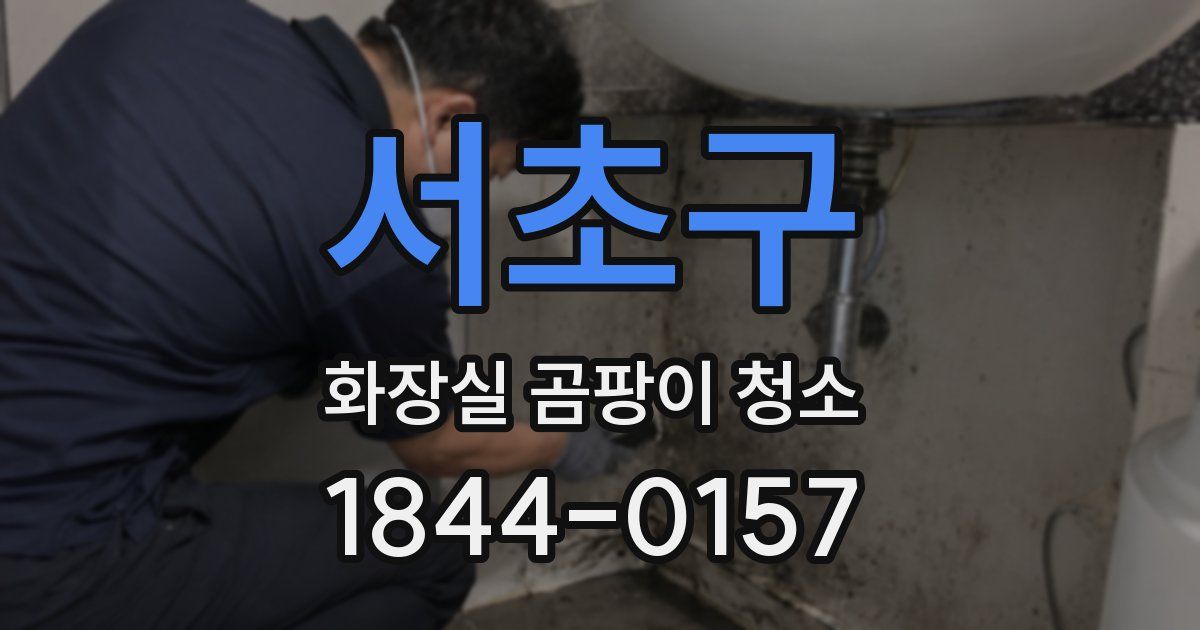 서초구 화장실 곰팡이 청소