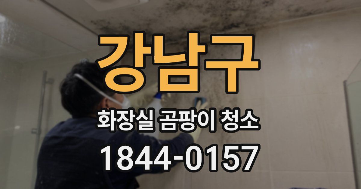 강남구 화장실 곰팡이 청소