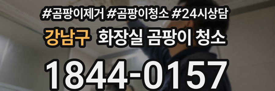 강남구 화장실 곰팡이 청소
