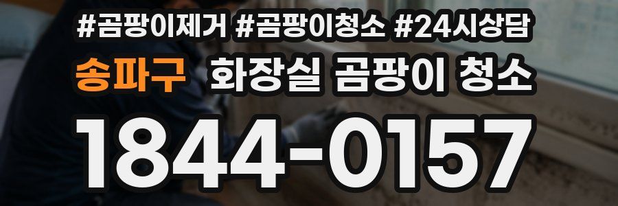 송파구 화장실 곰팡이 청소