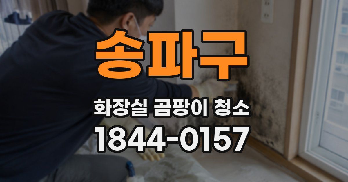송파구 화장실 곰팡이 청소