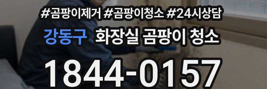 강동구 화장실 곰팡이 청소