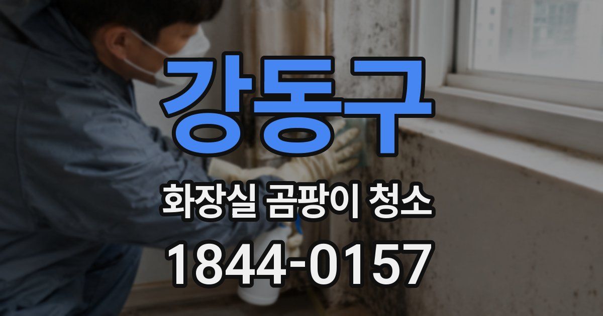 강동구 화장실 곰팡이 청소