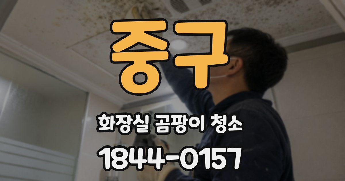 중구 화장실 곰팡이 청소