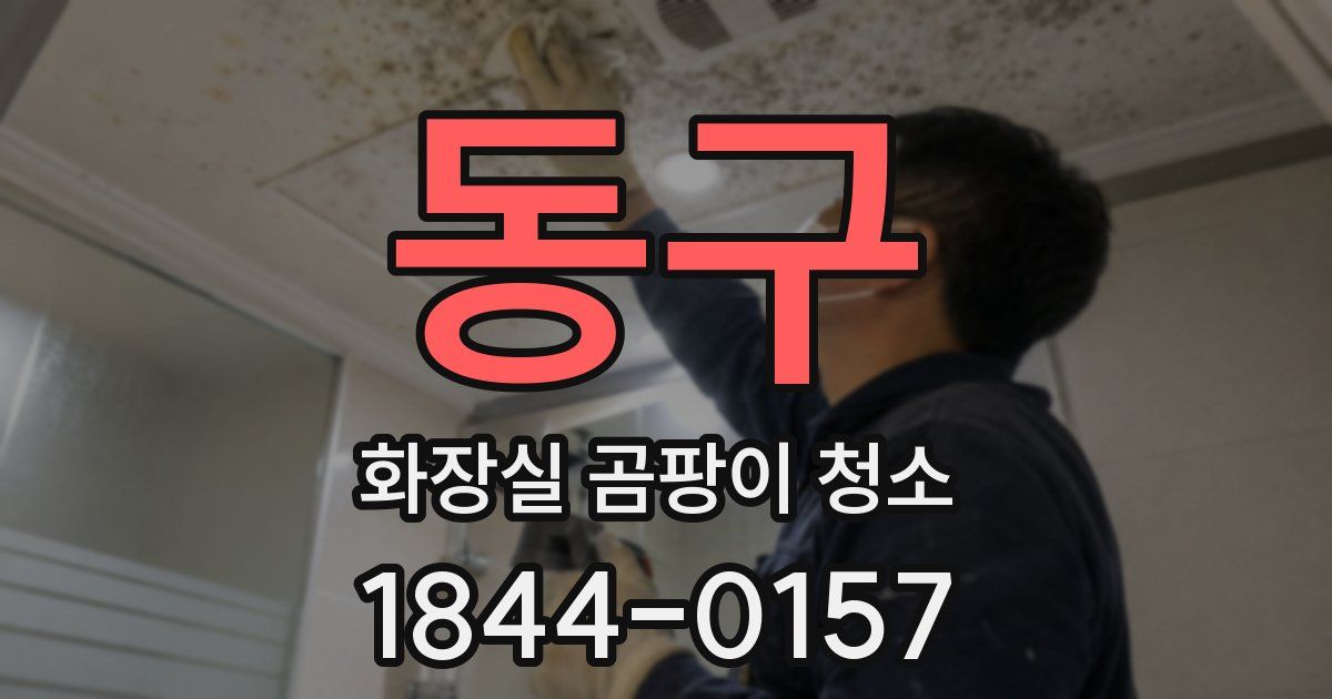 동구 화장실 곰팡이 청소