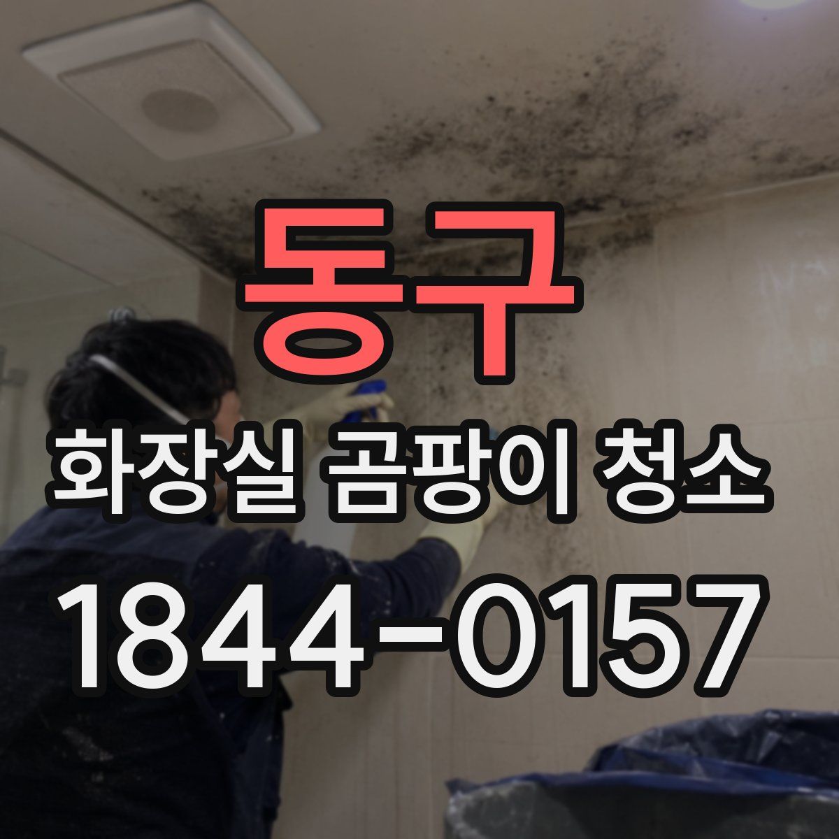 동구 화장실 곰팡이 청소