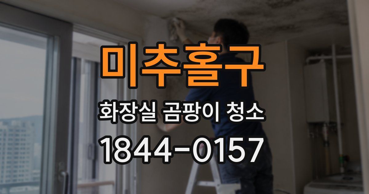미추홀구 화장실 곰팡이 청소