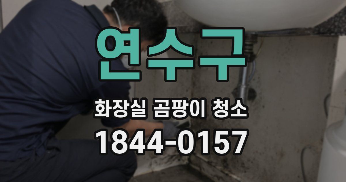 연수구 화장실 곰팡이 청소