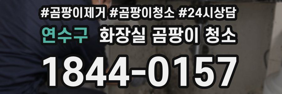 연수구 화장실 곰팡이 청소