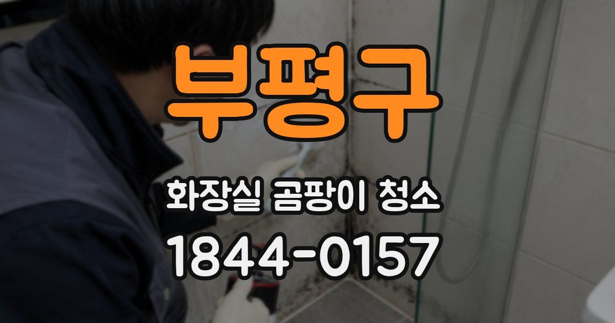 부평구 화장실 곰팡이 청소